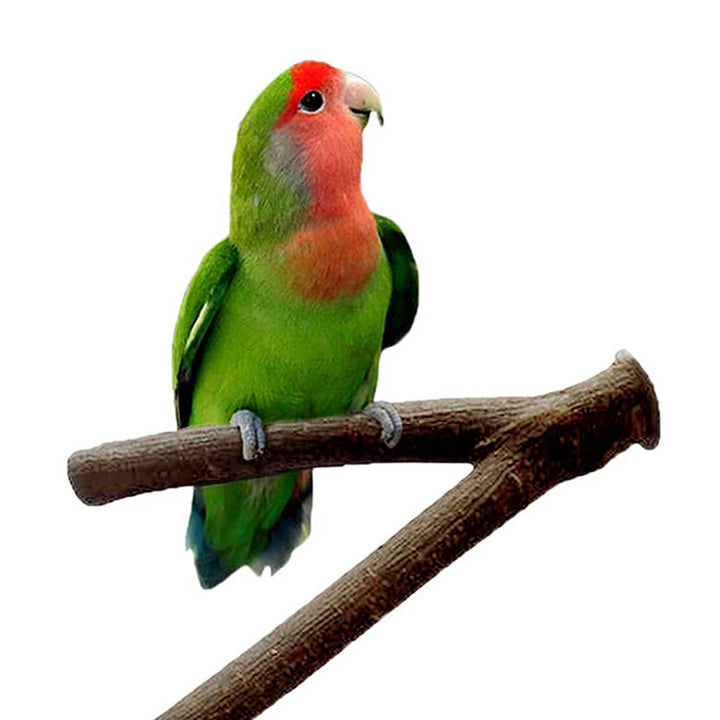Poleiro Natural de Madeira para Pássaros – 16cm