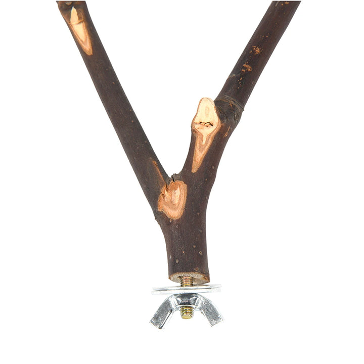 Poleiro Natural de Madeira para Pássaros – 16cm