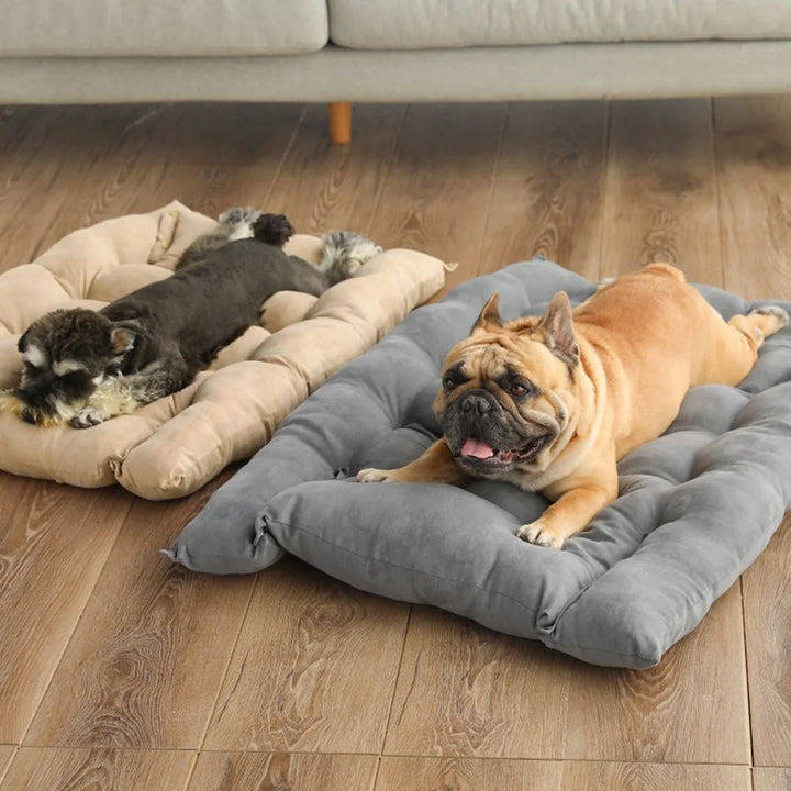Cama Almofada 3 em 1 para Cães e Gatos – Ninho, Sofá e Tapete em Um Só | Quente, Macia e Versátil para Inverno