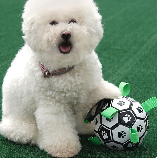 Bola com Alças para Cachorros – Brinquedo Resistente e Divertido para Médios e Grandes
