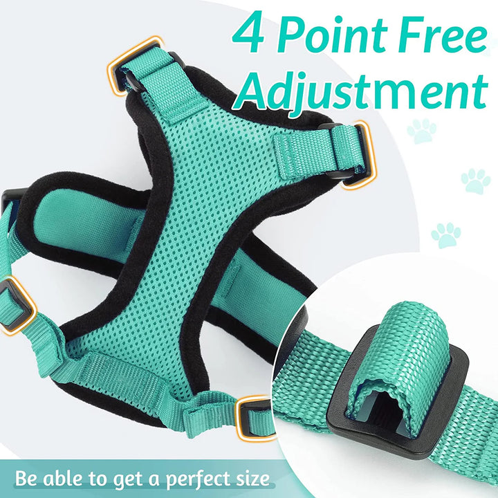 🐾 Arnês com Trela para Gato – Ajustável, Confortável e Antifuga | Ideal para Passeios ao Ar Livre