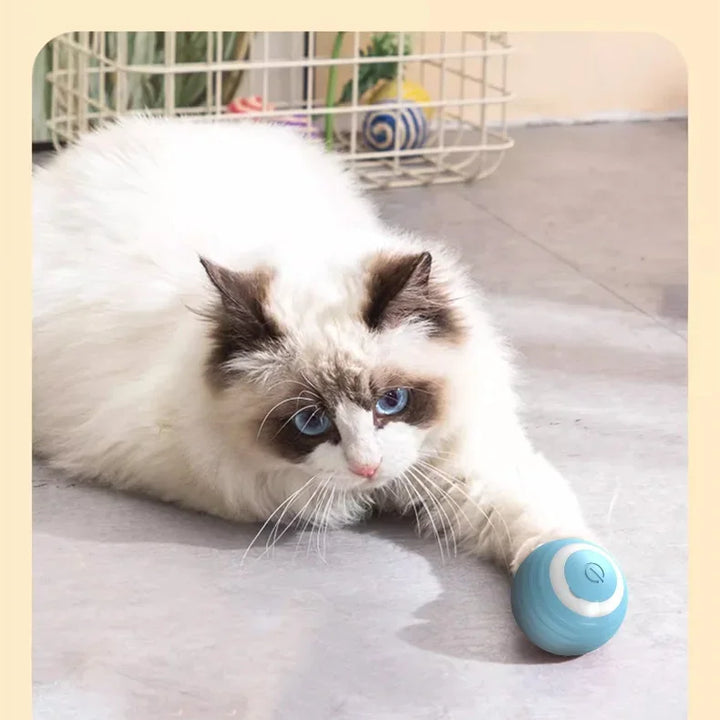 Bola Automática para Gatos – Balança, Quica e Rola com Luz LED, Brinquedo Inteligente Autônomo para Gatinhos em Ambientes Internos