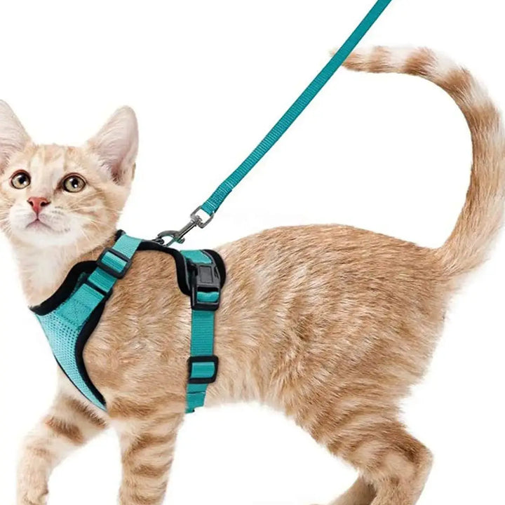 🐾 Arnês com Trela para Gato – Ajustável, Confortável e Antifuga | Ideal para Passeios ao Ar Livre