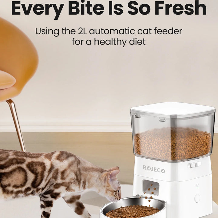 Alimentador Automático Inteligente 2L para Gatos e Cães – Dispenser Wi-Fi para Ração Seca com Controle Remoto