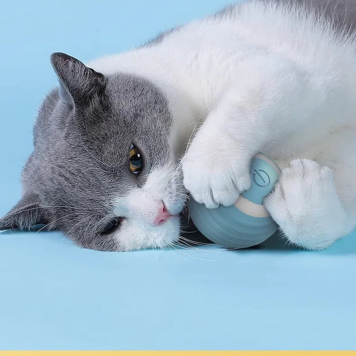 Bola Automática para Gatos – Balança, Quica e Rola com Luz LED, Brinquedo Inteligente Autônomo para Gatinhos em Ambientes Internos