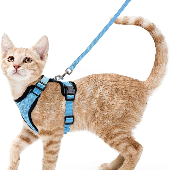 🐾 Arnês com Trela para Gato – Ajustável, Confortável e Antifuga | Ideal para Passeios ao Ar Livre