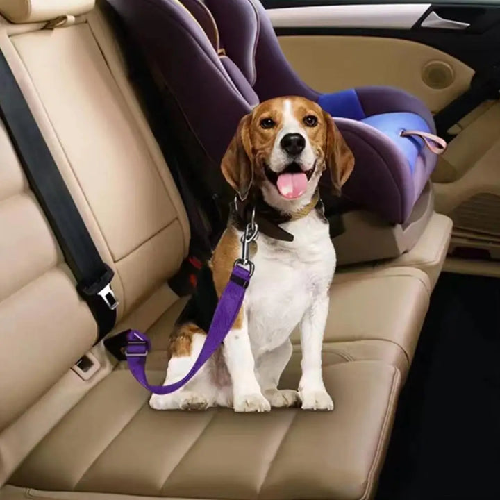 Cinto de Segurança Ajustável para Cães e Gatos – Presilha Universal para Veículos | Clipe de Tração para Transporte Seguro de Pets