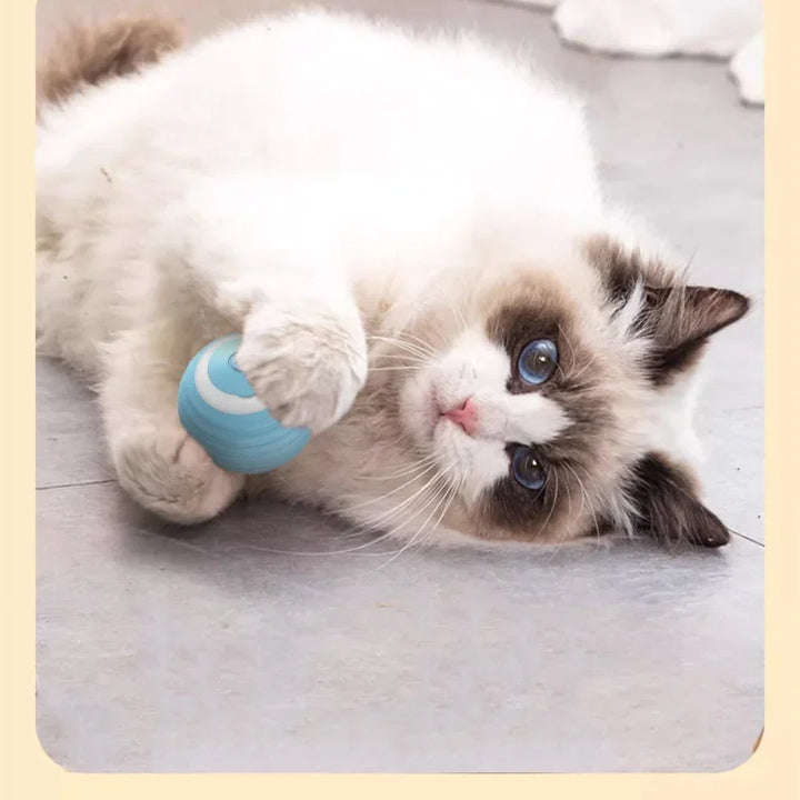 Bola Automática para Gatos – Balança, Quica e Rola com Luz LED, Brinquedo Inteligente Autônomo para Gatinhos em Ambientes Internos