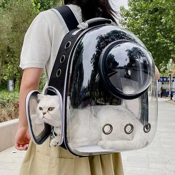 Mochila Transparente para Transporte de Gatos e Cães – Bolsa Respirável e Portátil | Space Capsule
