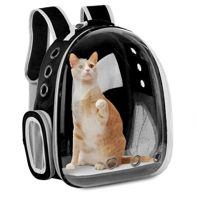 Mochila Transparente para Transporte de Gatos e Cães – Bolsa Respirável e Portátil | Space Capsule