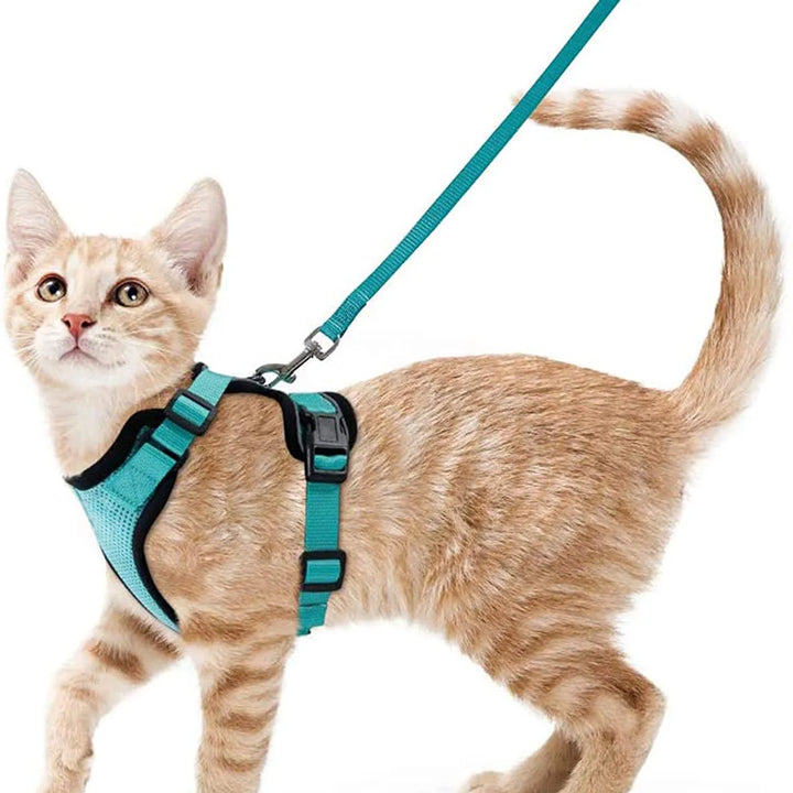 🐾 Arnês com Trela para Gato – Ajustável, Confortável e Antifuga | Ideal para Passeios ao Ar Livre