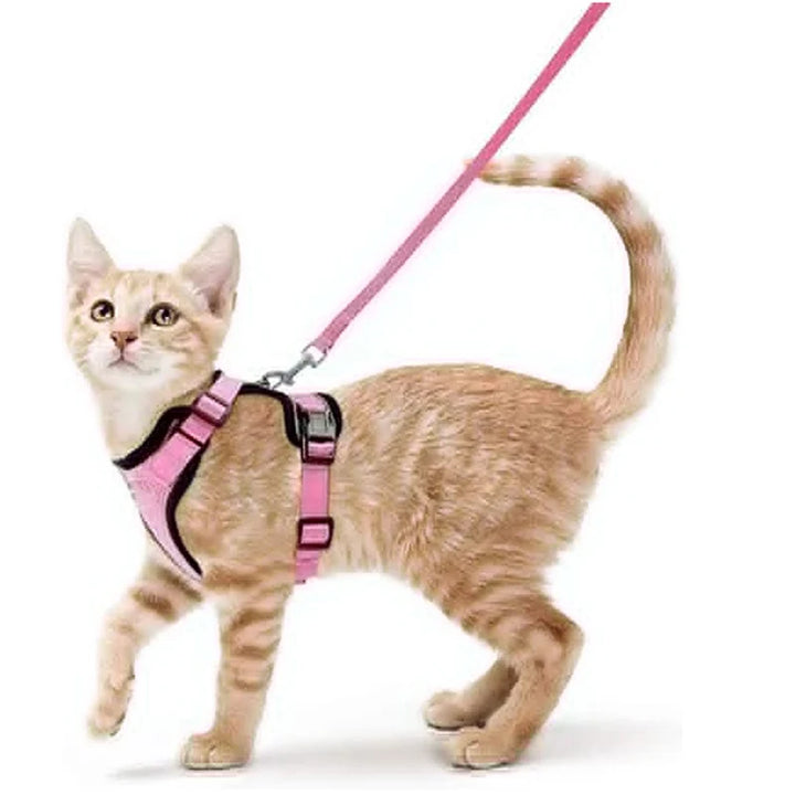 🐾 Arnês com Trela para Gato – Ajustável, Confortável e Antifuga | Ideal para Passeios ao Ar Livre