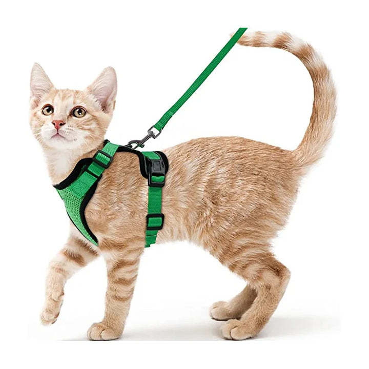 🐾 Arnês com Trela para Gato – Ajustável, Confortável e Antifuga | Ideal para Passeios ao Ar Livre