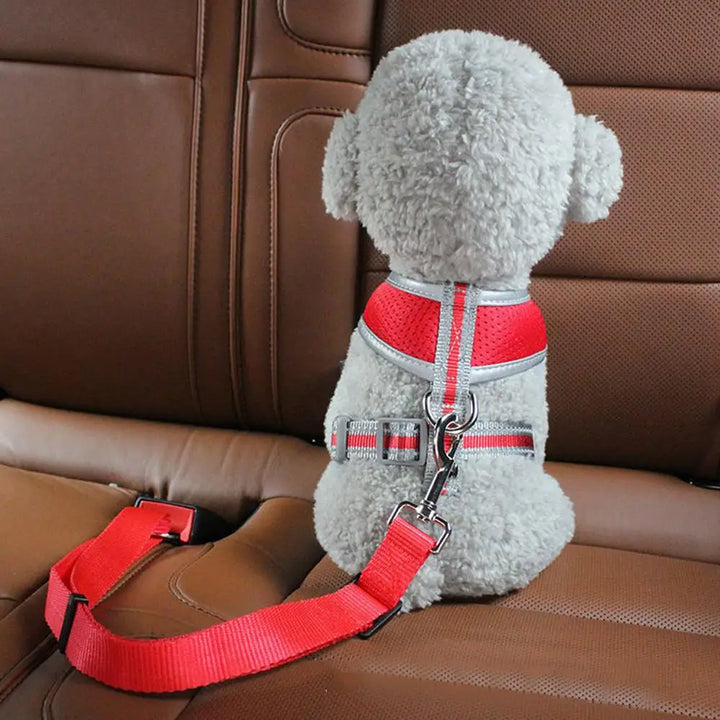 Cinto de Segurança Ajustável para Cães e Gatos – Presilha Universal para Veículos | Clipe de Tração para Transporte Seguro de Pets