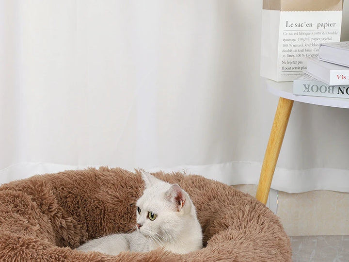 Cama Ninho Redonda em Peluche para Gatos , Aconchegante, Removível e Lavável | Decoração Universal para Casa 🐾