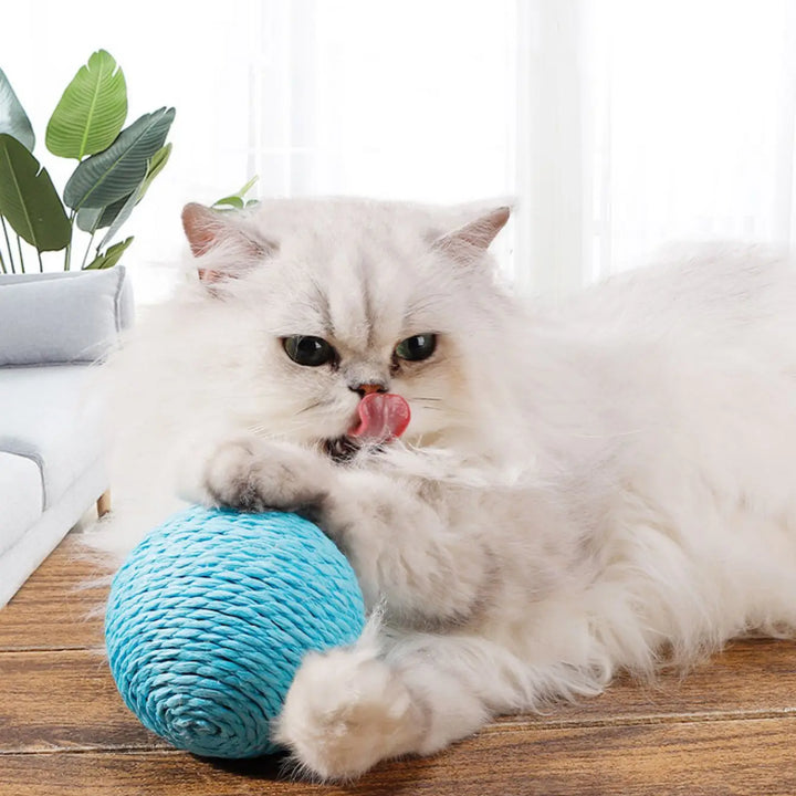 Brinquedo Interativo para Gatos – Bola de Sisal 10cm | Limpeza de Dentes e Estímulo para Gatinhos 🐾