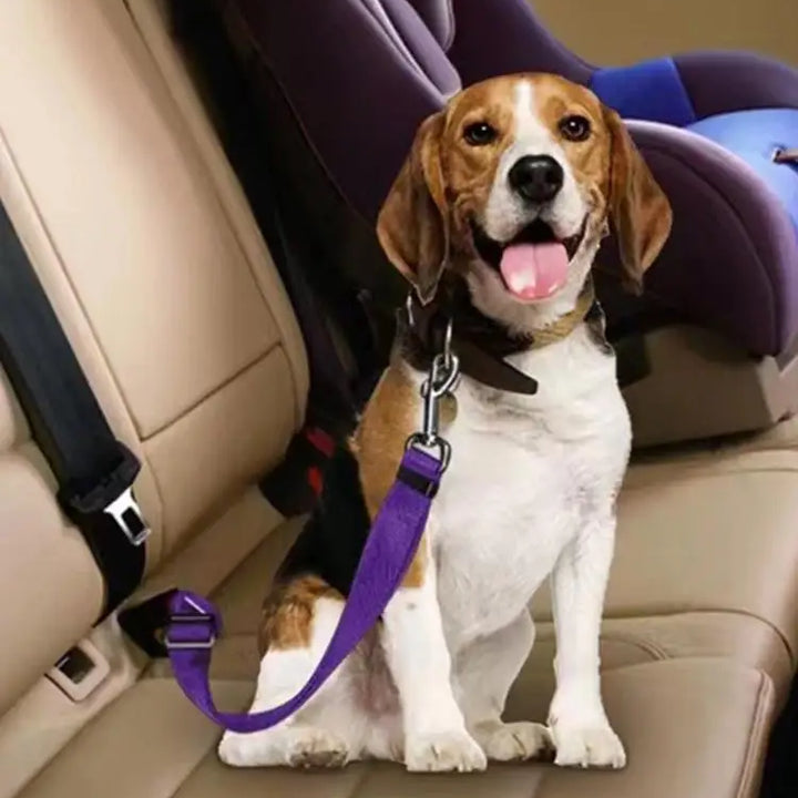 Cinto de Segurança Ajustável para Cães e Gatos – Presilha Universal para Veículos | Clipe de Tração para Transporte Seguro de Pets
