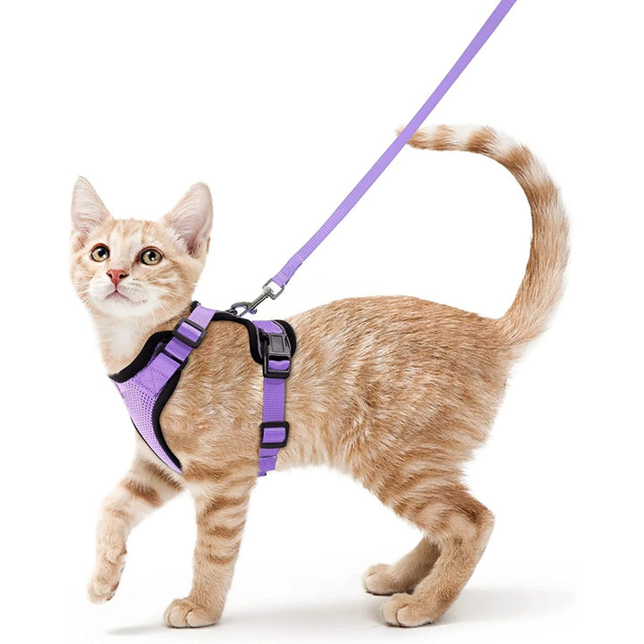 🐾 Arnês com Trela para Gato – Ajustável, Confortável e Antifuga | Ideal para Passeios ao Ar Livre