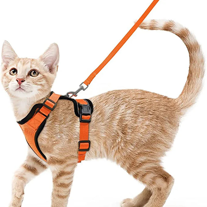 🐾 Arnês com Trela para Gato – Ajustável, Confortável e Antifuga | Ideal para Passeios ao Ar Livre