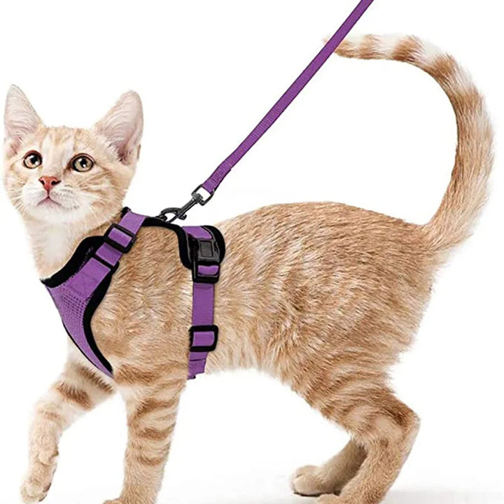 🐾 Arnês com Trela para Gato – Ajustável, Confortável e Antifuga | Ideal para Passeios ao Ar Livre