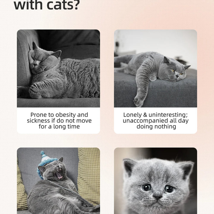 Diversão Inteligente para Pets – Laser Automático ROJECO, Brinquedo Portátil para Gatos e Cães