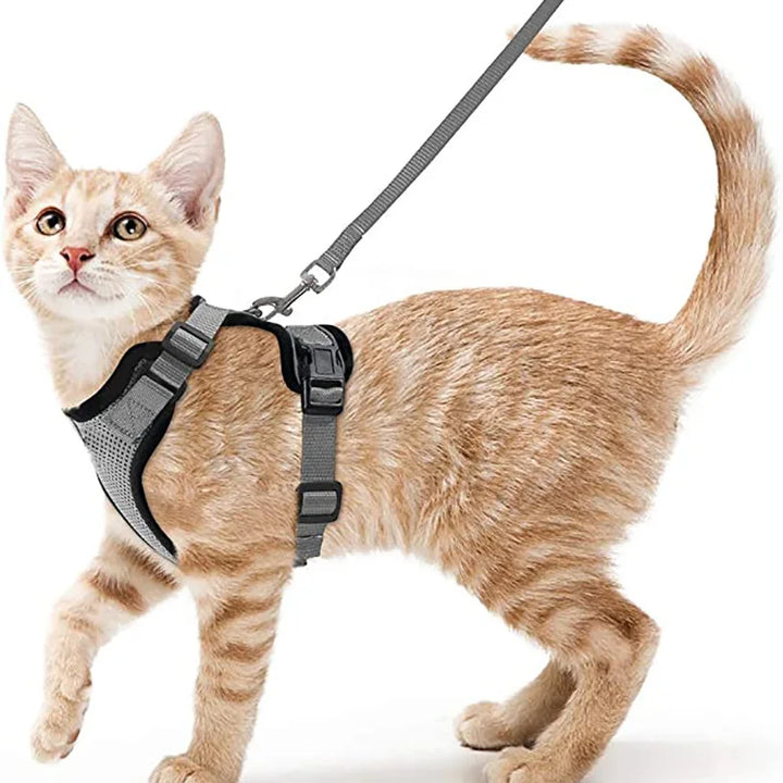 🐾 Arnês com Trela para Gato – Ajustável, Confortável e Antifuga | Ideal para Passeios ao Ar Livre
