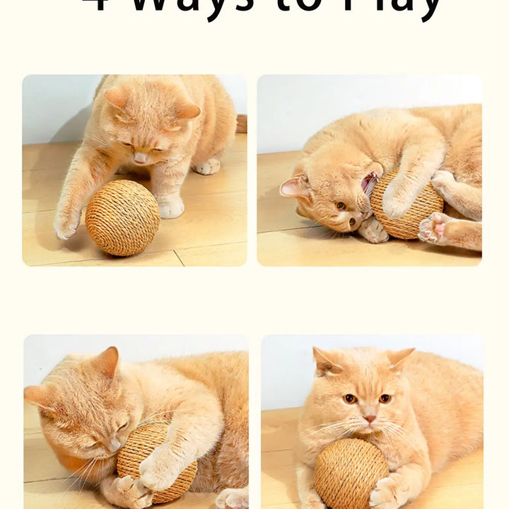 Brinquedo Interativo para Gatos – Bola de Sisal 10cm | Limpeza de Dentes e Estímulo para Gatinhos 🐾