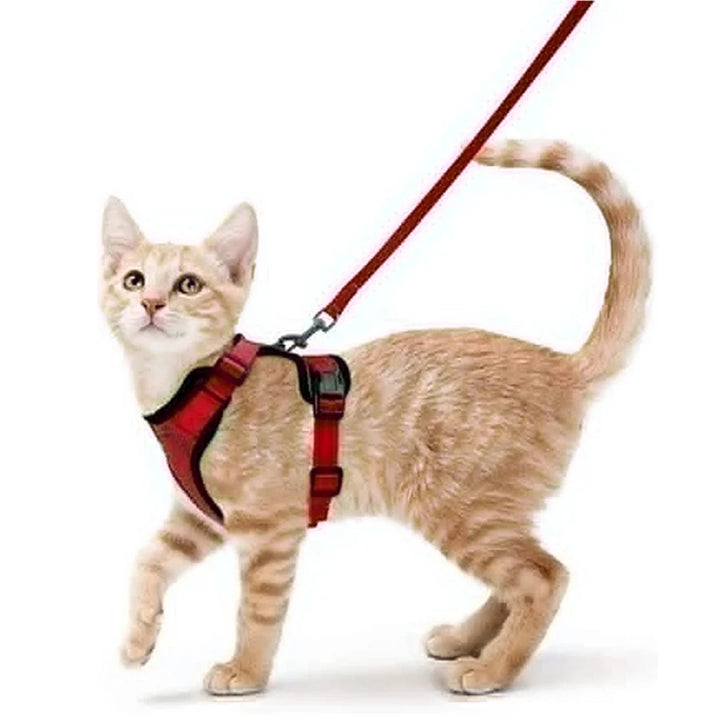 🐾 Arnês com Trela para Gato – Ajustável, Confortável e Antifuga | Ideal para Passeios ao Ar Livre