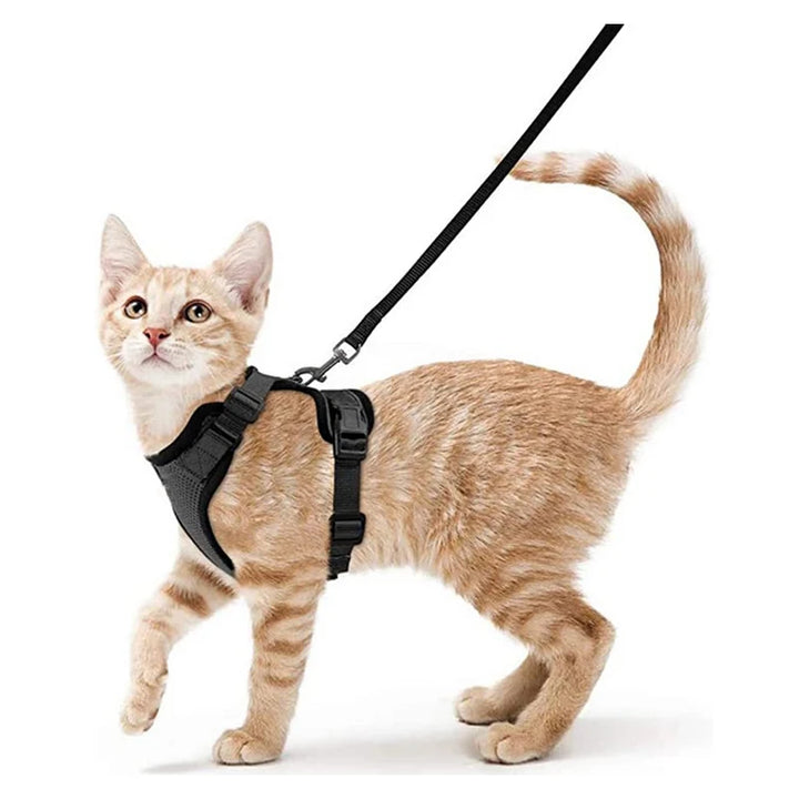 🐾 Arnês com Trela para Gato – Ajustável, Confortável e Antifuga | Ideal para Passeios ao Ar Livre