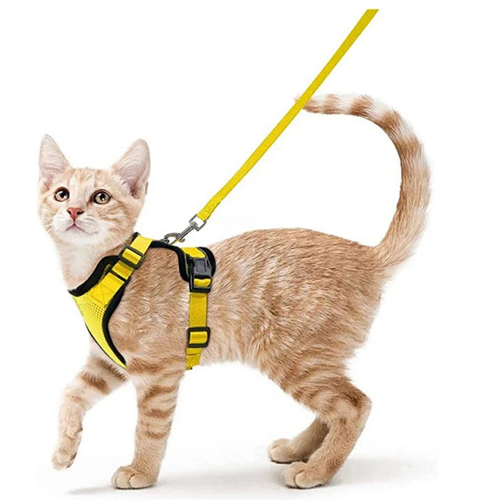 🐾 Arnês com Trela para Gato – Ajustável, Confortável e Antifuga | Ideal para Passeios ao Ar Livre